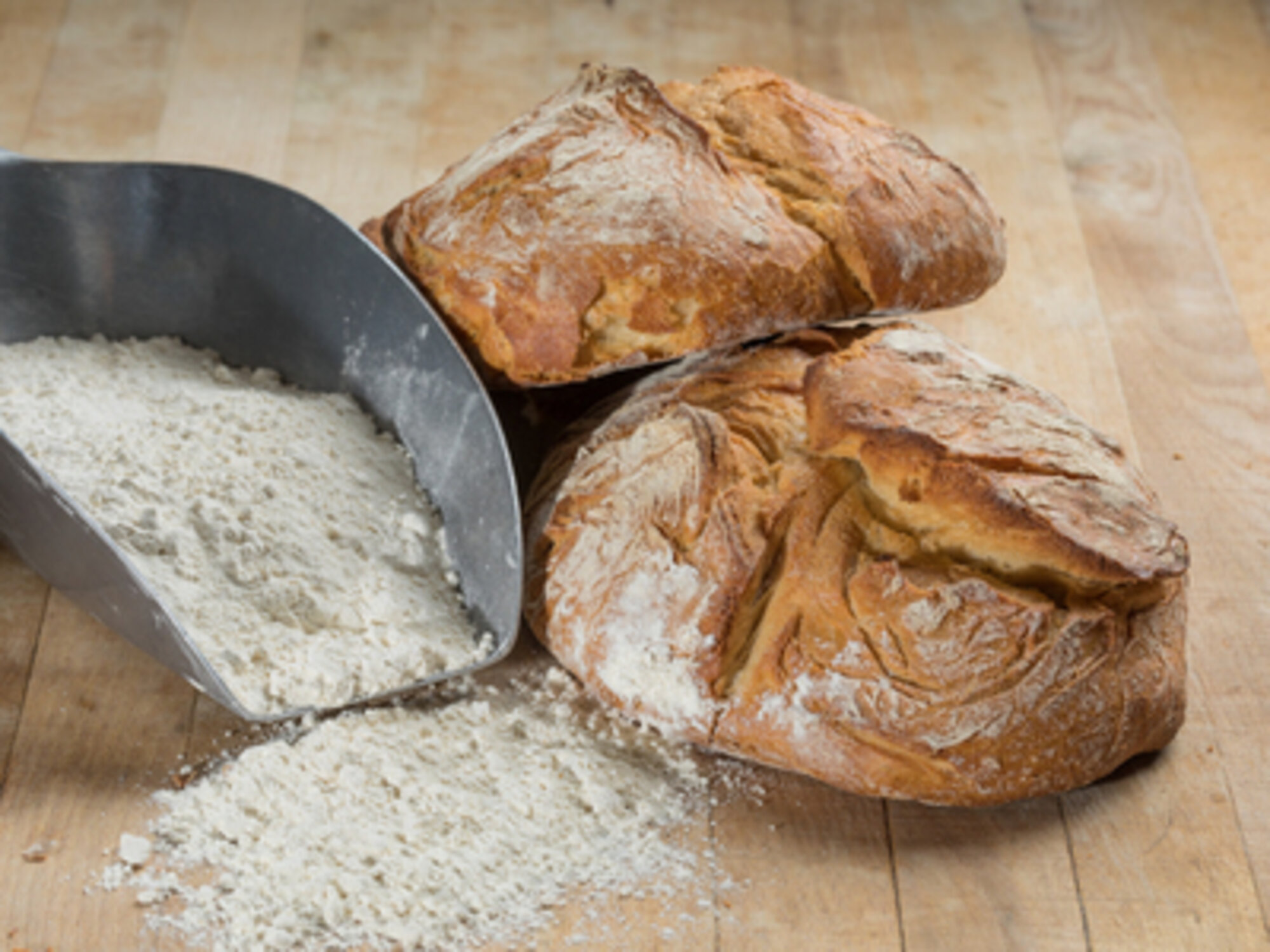 Brot